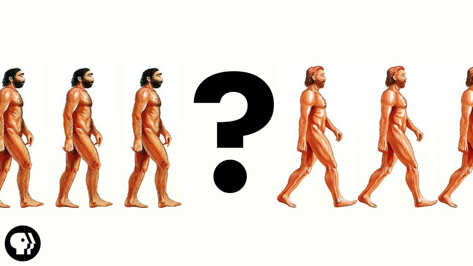 There Was No First Human - Videos in Levels